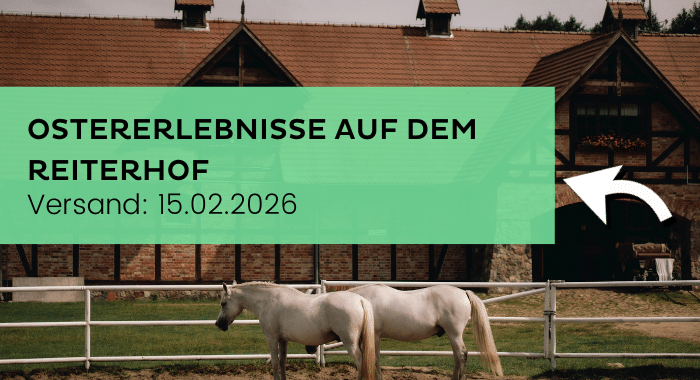 Newsletter Banner 15.02.2026 Ostererlebnisse auf dem Reiterhof