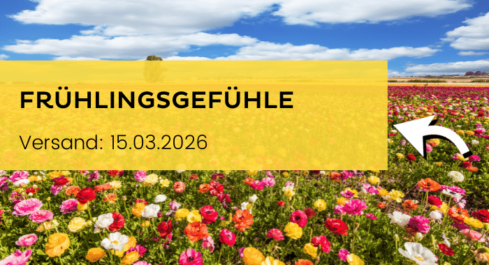 Newsletter Banner 01.03.2026 Frühlingsgefühle